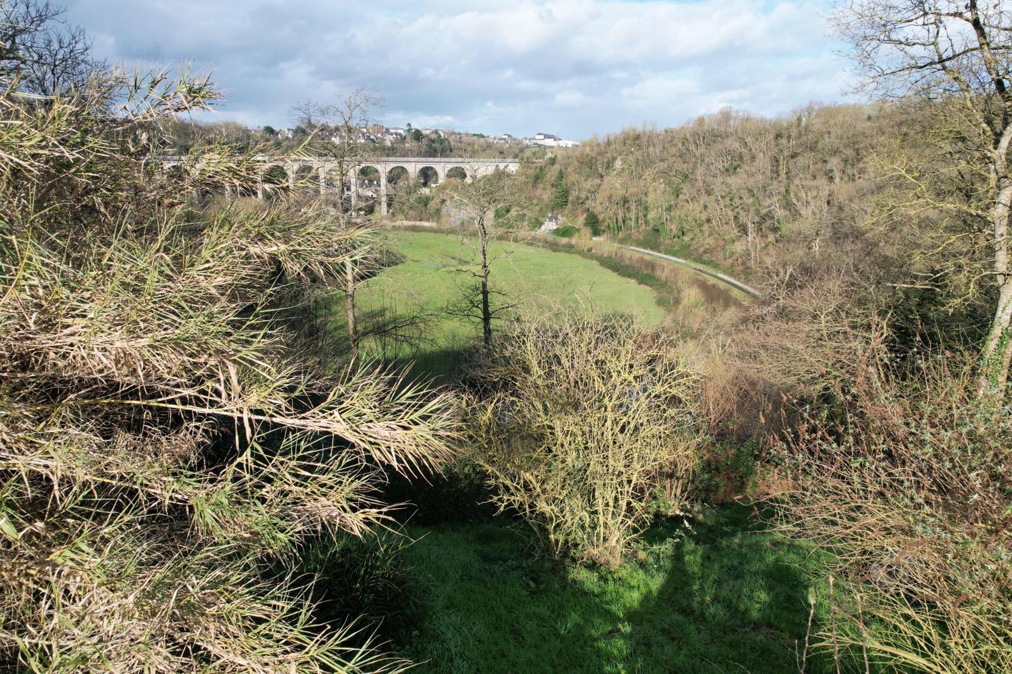 O Bois Dormant- Studio Vue Rance River Et Viaduc De Dinan Lanvallay Exterior photo