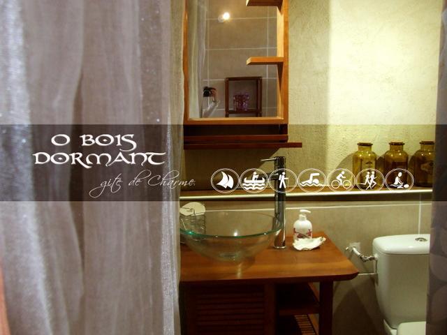 O Bois Dormant- Studio Vue Rance River Et Viaduc De Dinan Lanvallay Exterior photo